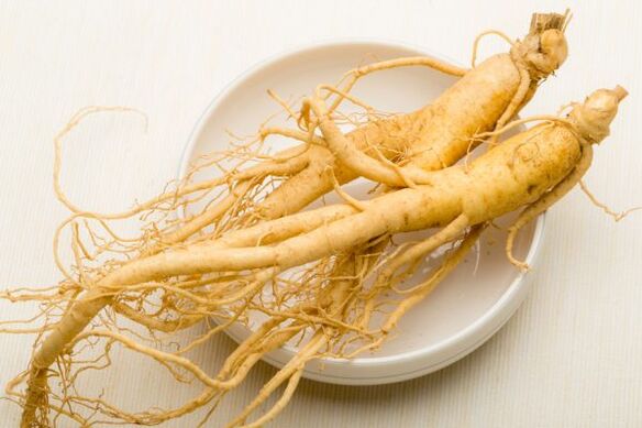 Racine de ginseng pour la puissance